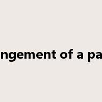 infringement of a patent是什么意思