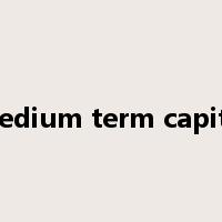 medium term capital是什么意思