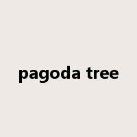 pagoda tree是什么意思