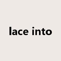 lace into是什么意思