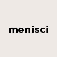 menisci是什么意思