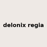 delonix regia是什么意思