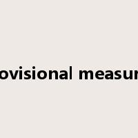 provisional measures是什么意思