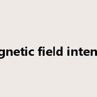 magnetic field intensity是什么意思