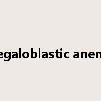 megaloblastic anemia是什么意思