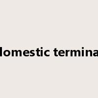 domestic terminal是什么意思