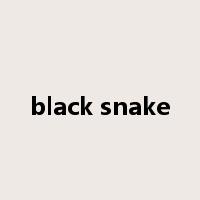 black snake是什么意思