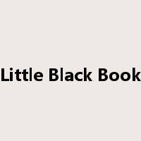Little Black Book是什么意思