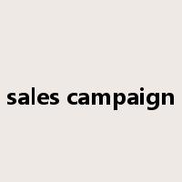 sales campaign是什么意思