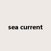 sea current是什么意思