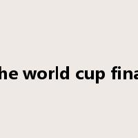 the world cup final是什么意思