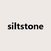siltstone是什么意思