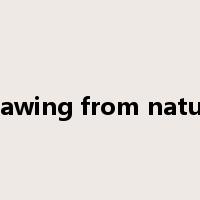 drawing from nature是什么意思