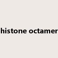 histone octamer是什么意思