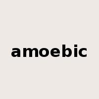 amoebic是什么意思