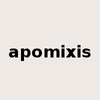 apomixis是什么意思