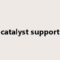 catalyst support是什么意思
