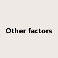 Other factors是什么意思