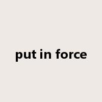put in force是什么意思