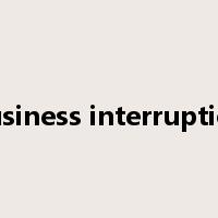 Business interruption是什么意思