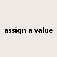assign a value是什么意思