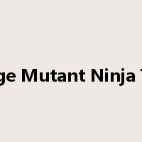 Teenage Mutant Ninja Turtles是什么意思