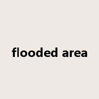flooded area是什么意思