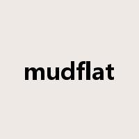 mudflat是什么意思