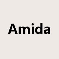 Amida是什么意思
