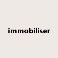 immobiliser是什么意思