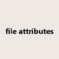 file attributes是什么意思