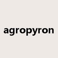 agropyron是什么意思