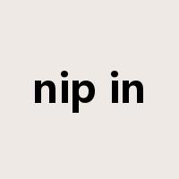 nip in是什么意思