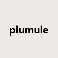 plumule是什么意思