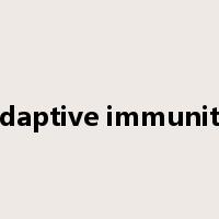 adaptive immunity是什么意思