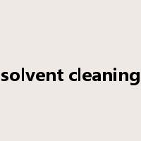 solvent cleaning是什么意思