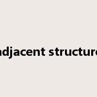 adjacent structure是什么意思