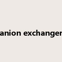anion exchanger是什么意思