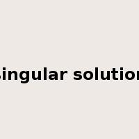 singular solution是什么意思