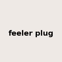 feeler plug是什么意思