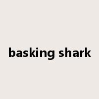 basking shark是什么意思