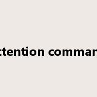 attention command是什么意思