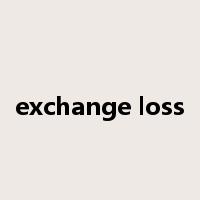 exchange loss是什么意思
