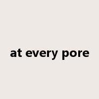 at every pore是什么意思