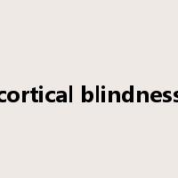 cortical blindness是什么意思