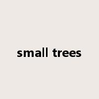 small trees是什么意思