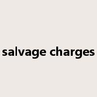 salvage charges是什么意思
