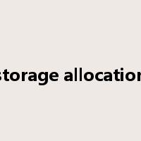storage allocation是什么意思
