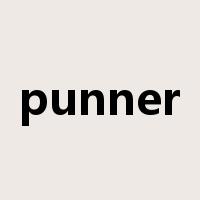 punner是什么意思