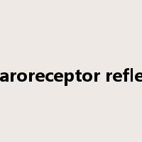baroreceptor reflex是什么意思